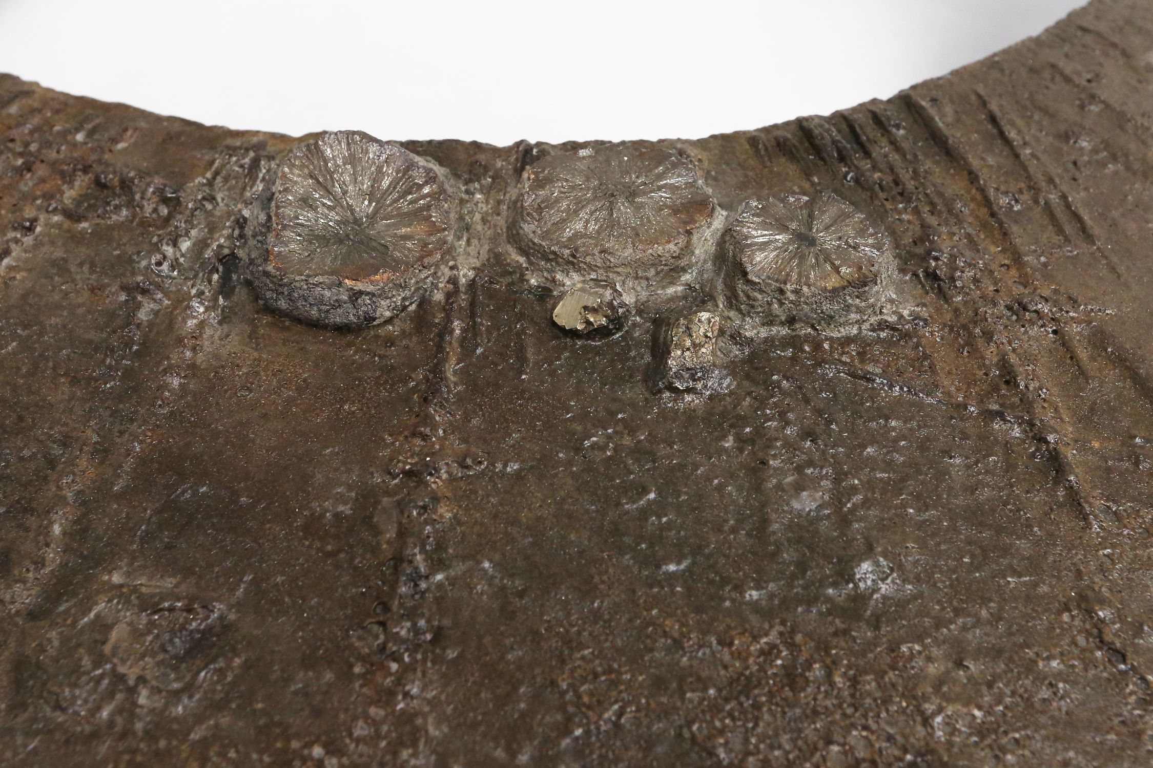 Early Coffee Table signed by Pia Manu, Belgium 1960sthumbnail